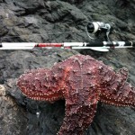 fishing_ucluelet