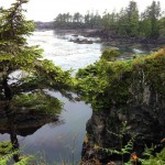 wild_pacific_trail_view