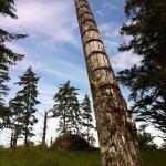 frontal_totem_skedans_haida_gwaii