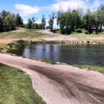 local_golf_course