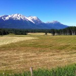 smithers_bc_view