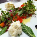 tomato_salad_cordon_bleu