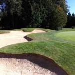 shaughnessy_golfing_vancouver