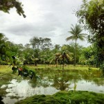 costa_rica_rainy_season