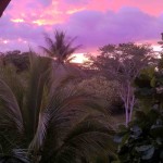sunset_office