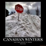 canadian_winters_poster