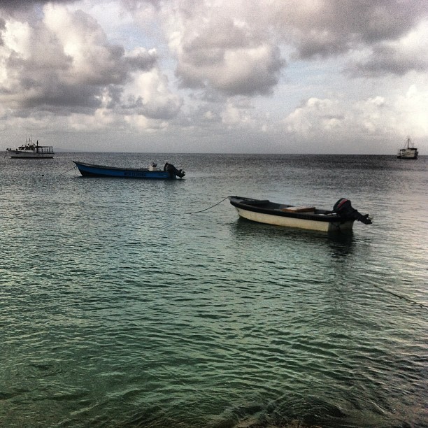 morning_office_caribbean