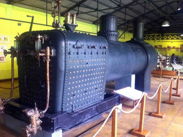 bois_cheri_locomotive_tea_plant