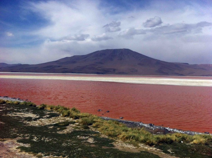 red_lagoon_bolivia