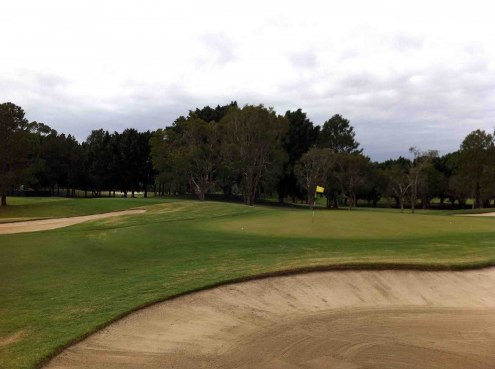 guarded_greens_racv_royal_pines_golf_course_gold_coast