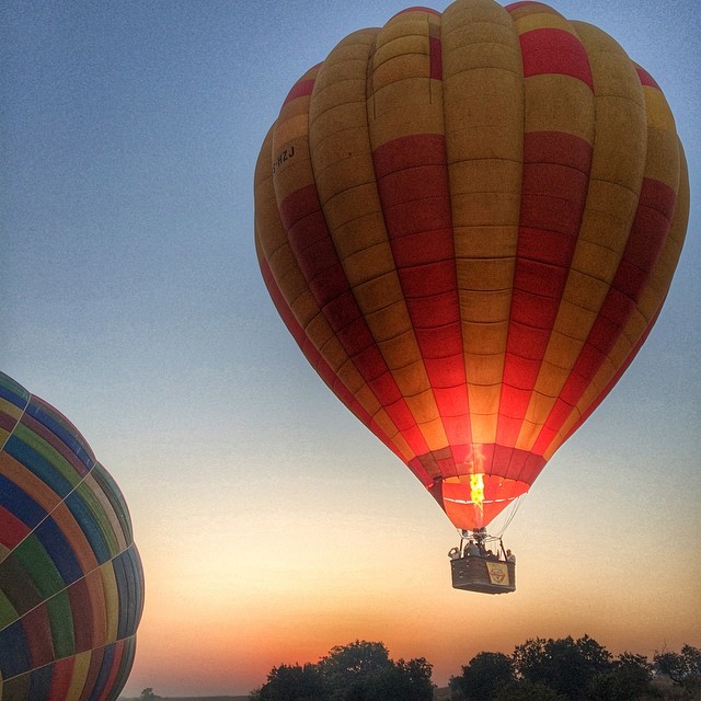 hot_air_balloon_magaliesburg._dawn_takeoff