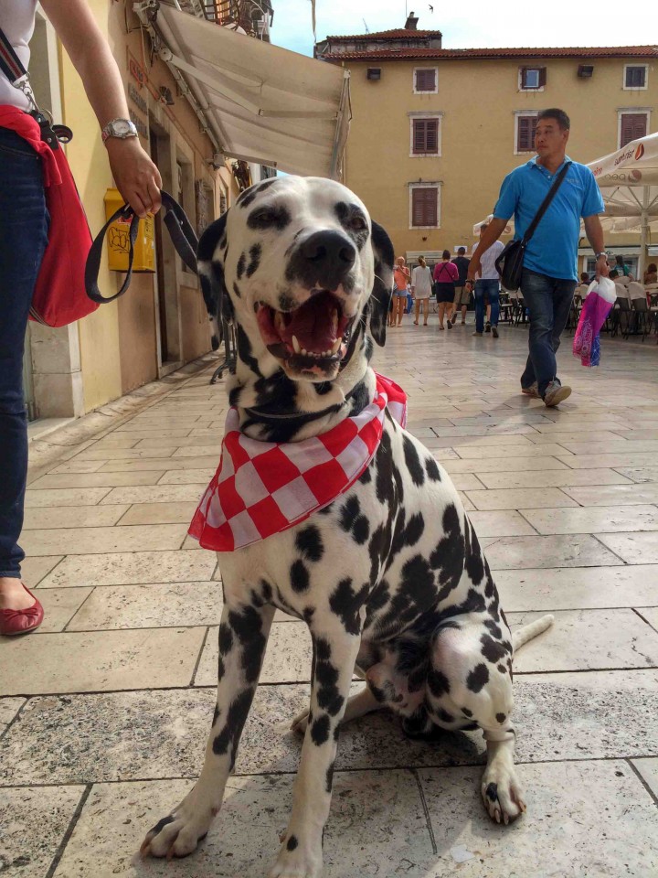 Zadar Croatia