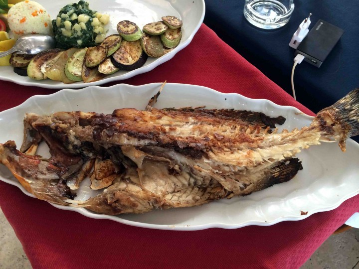 grilled_fish_katic_petrovac_montenegro