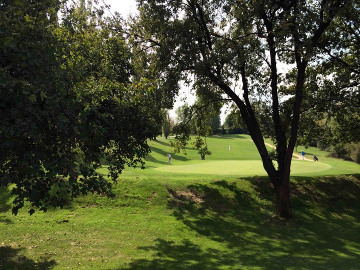 chipping_through_trees_golf_club_bologna