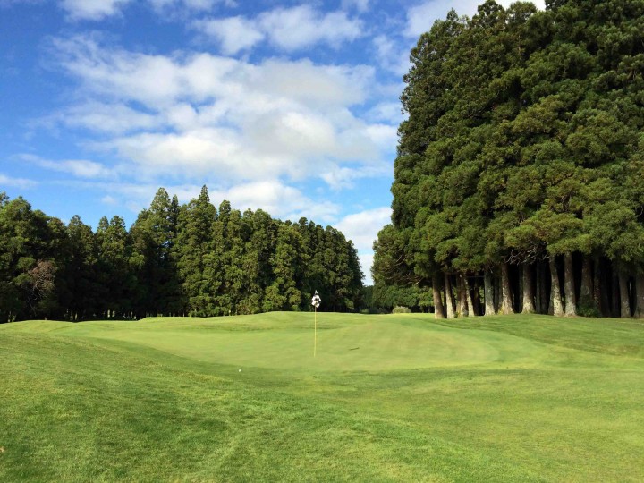 japanese_cedars_furnas_golf_course