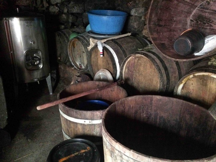 wine_maker_sao_jorge_azores