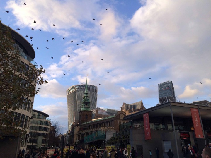 birds_skyline_london_england