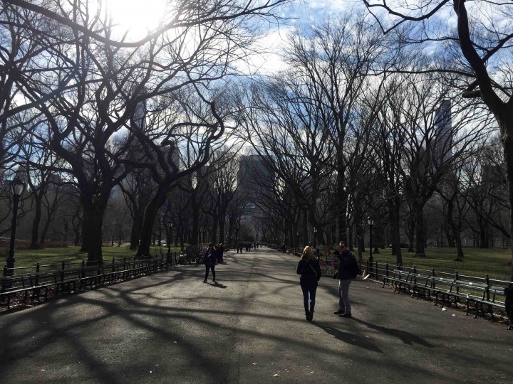 beautiful_central_park_new_york_city