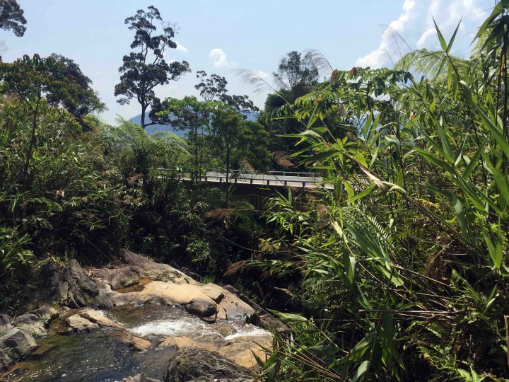 Annamite Mountains n Vietnam