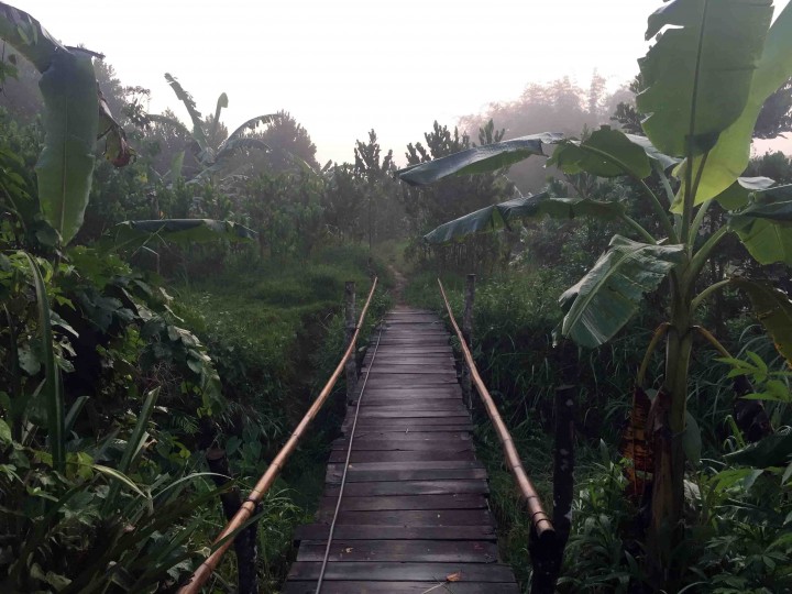 bamboo_bridge_bho_hoong_vietnam