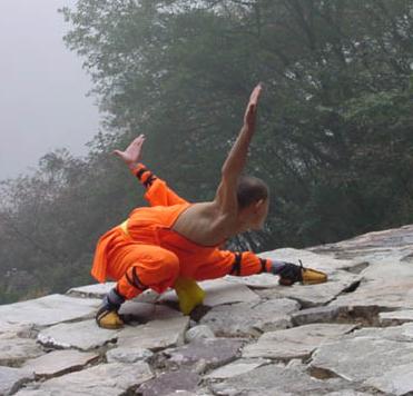 Korean Kung Fu Kicks on Bloor