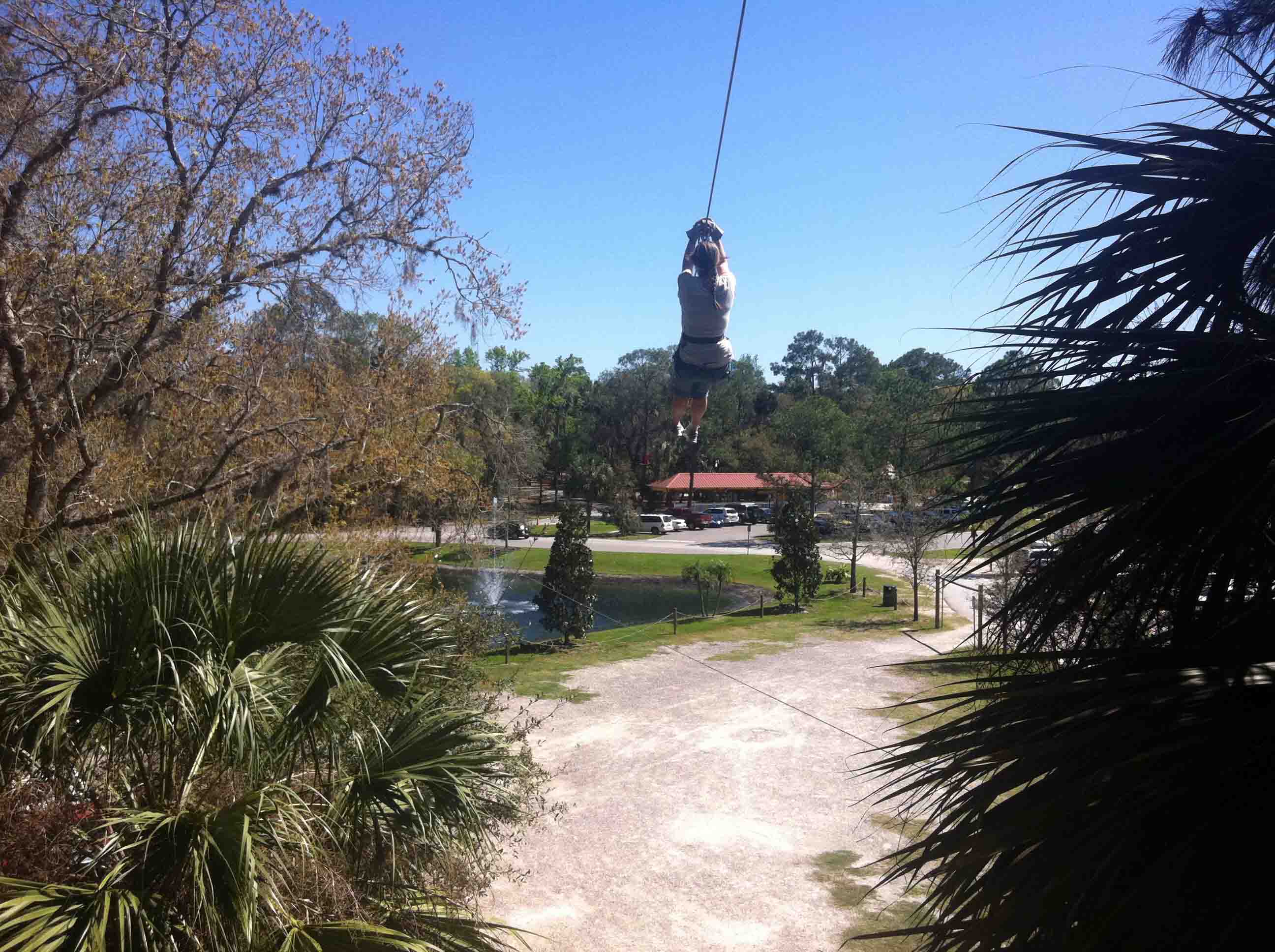 Ziplining, Zoo, Segways & Such in Seminole County