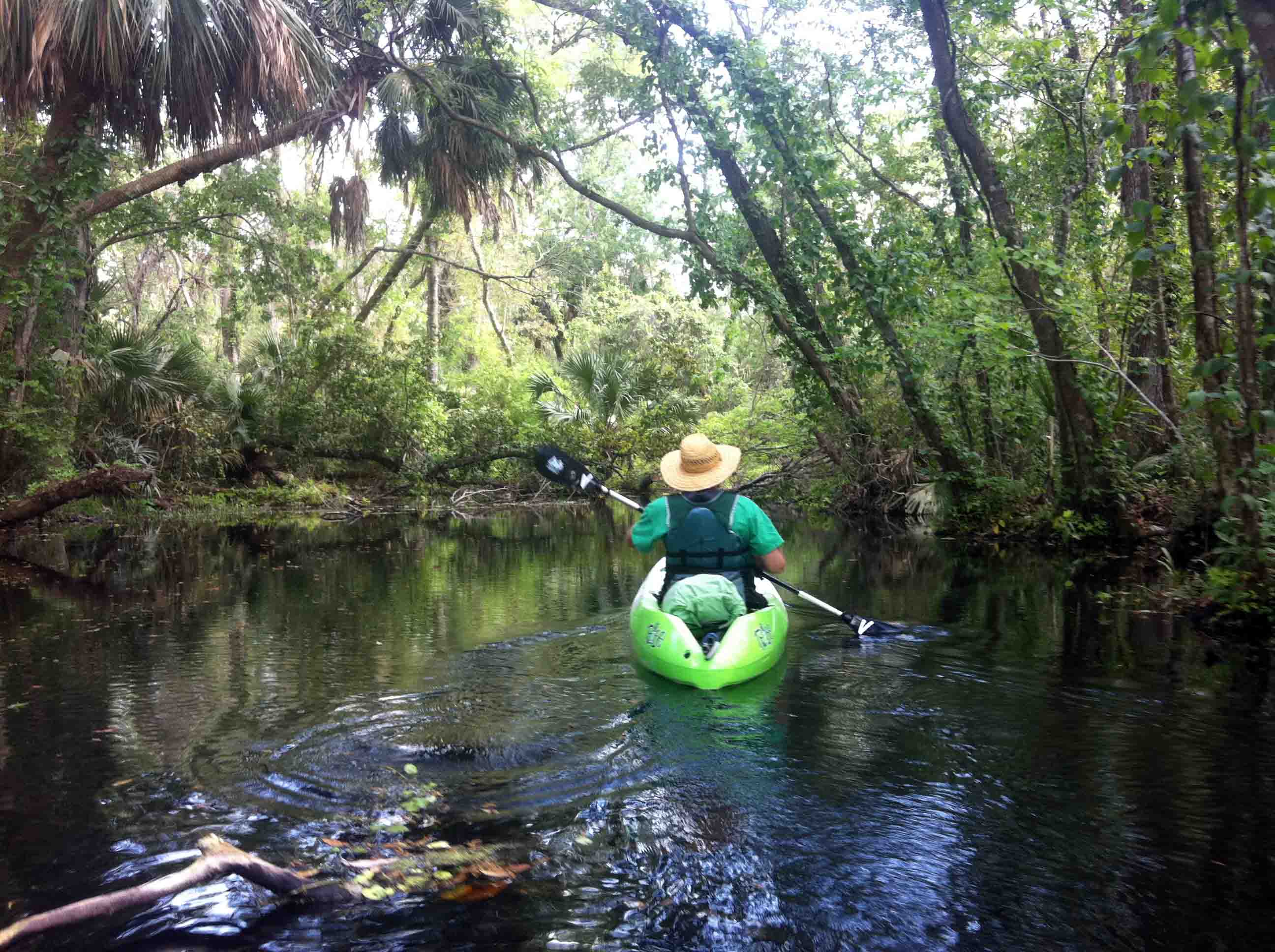 Alligator Kayaking Adventure in Wekiwa Springs Park, USA