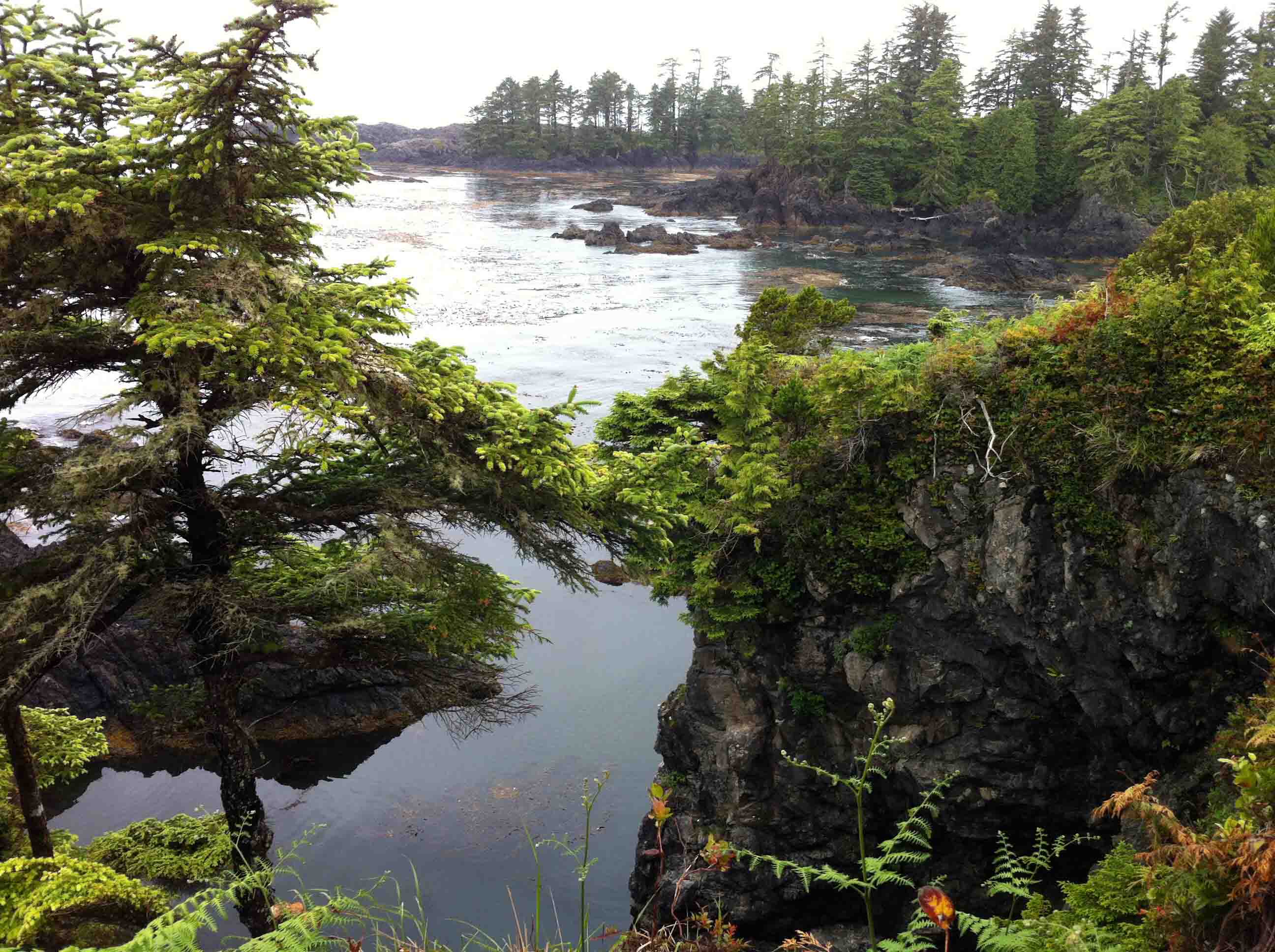 Starting to Really Like Ucluelet, British Columbia