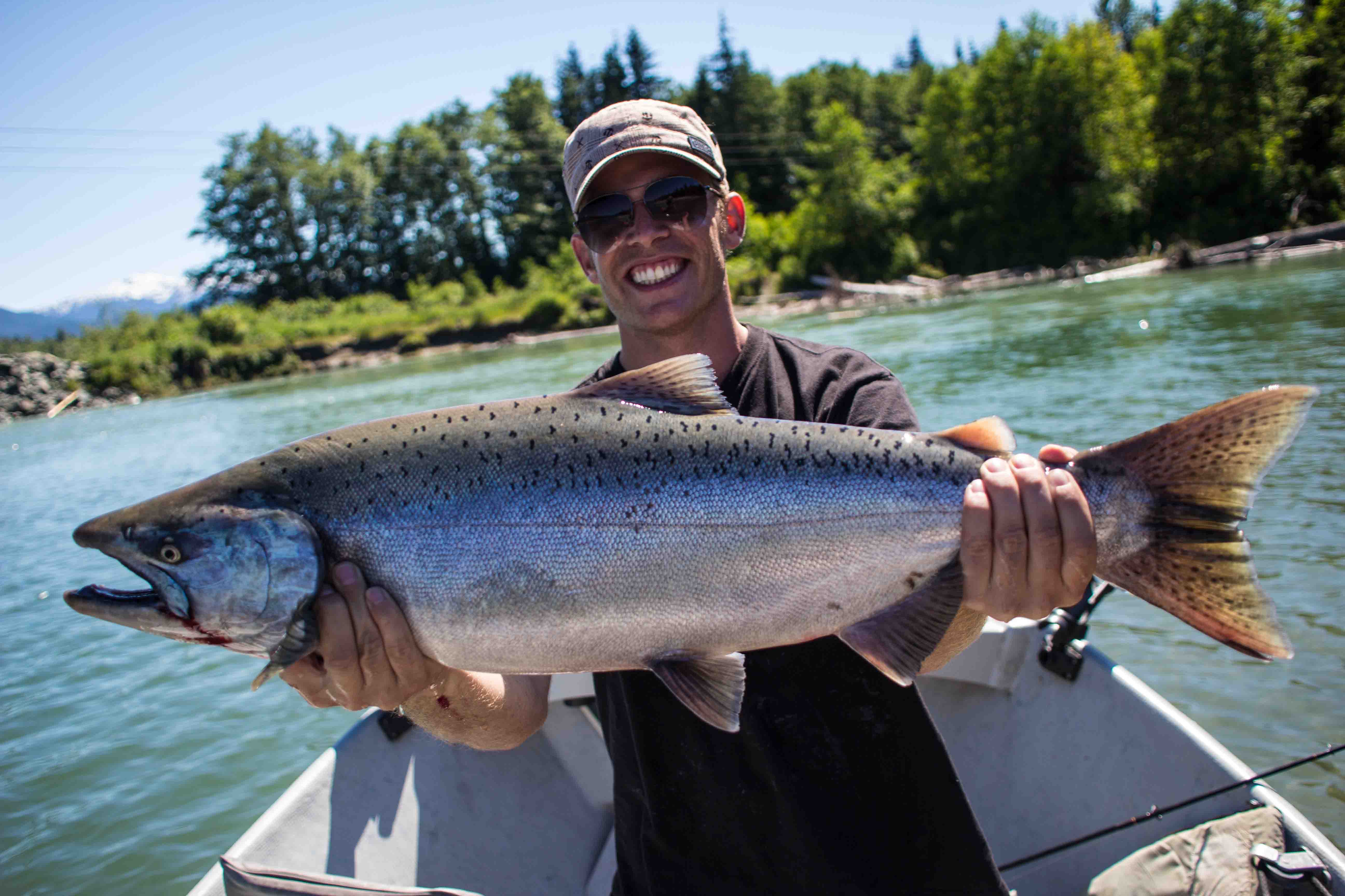 Catching a Chinook Salmon in the Kitimat River, BC