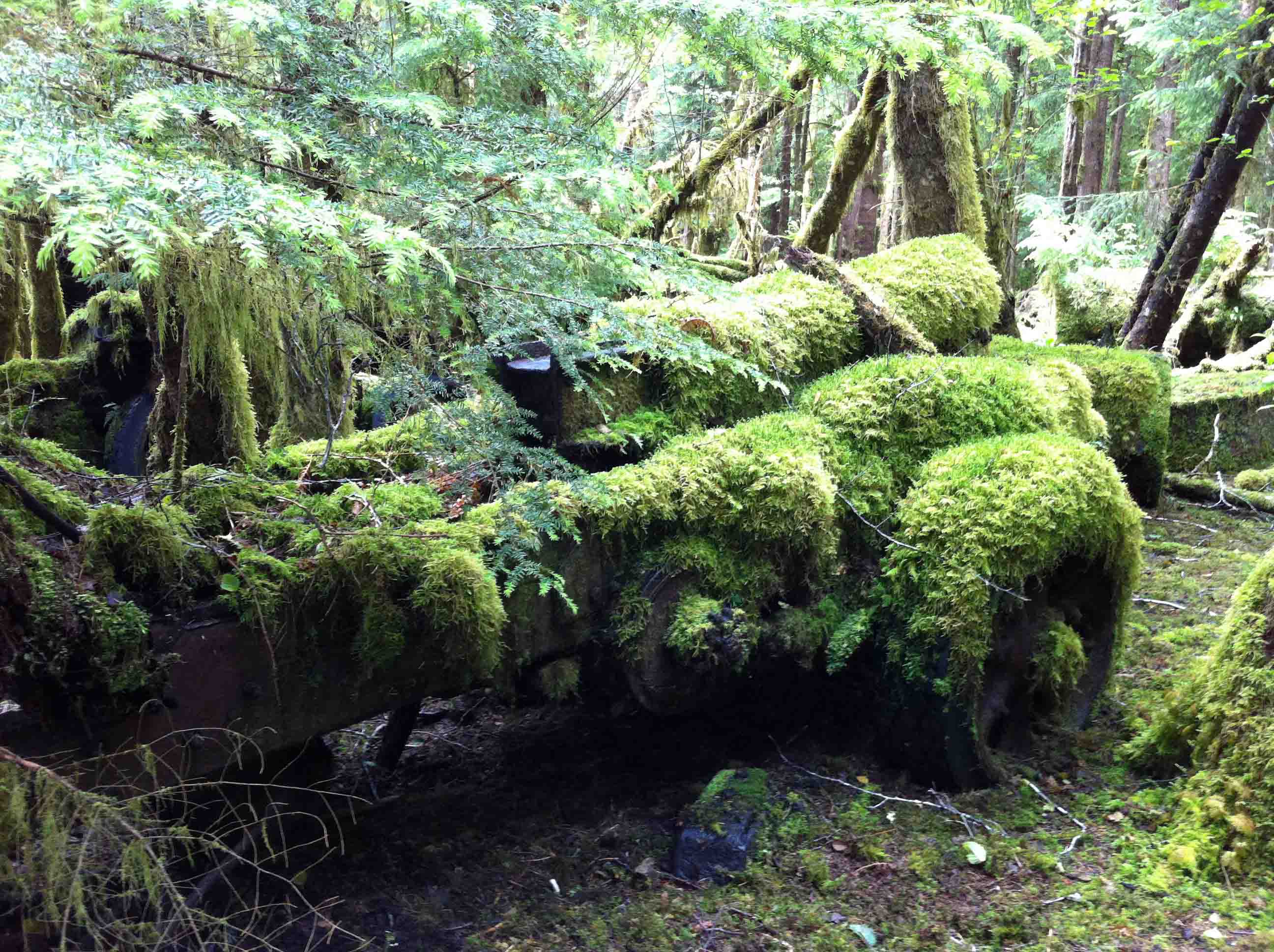 Haida Gwaii, British Columbia is Out of This World...