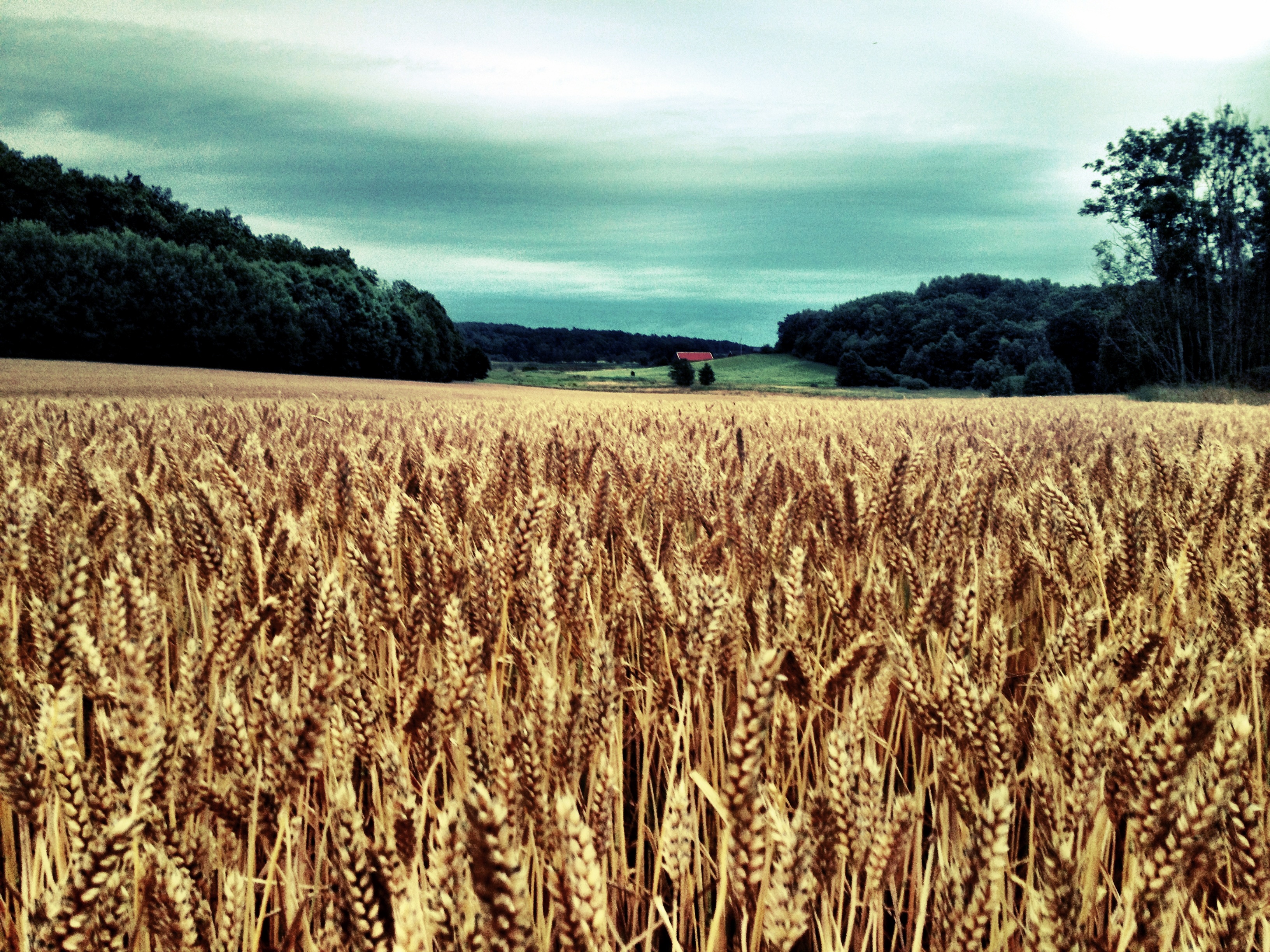 iPhone Trip to Karlskrona & the Swedish Countryside