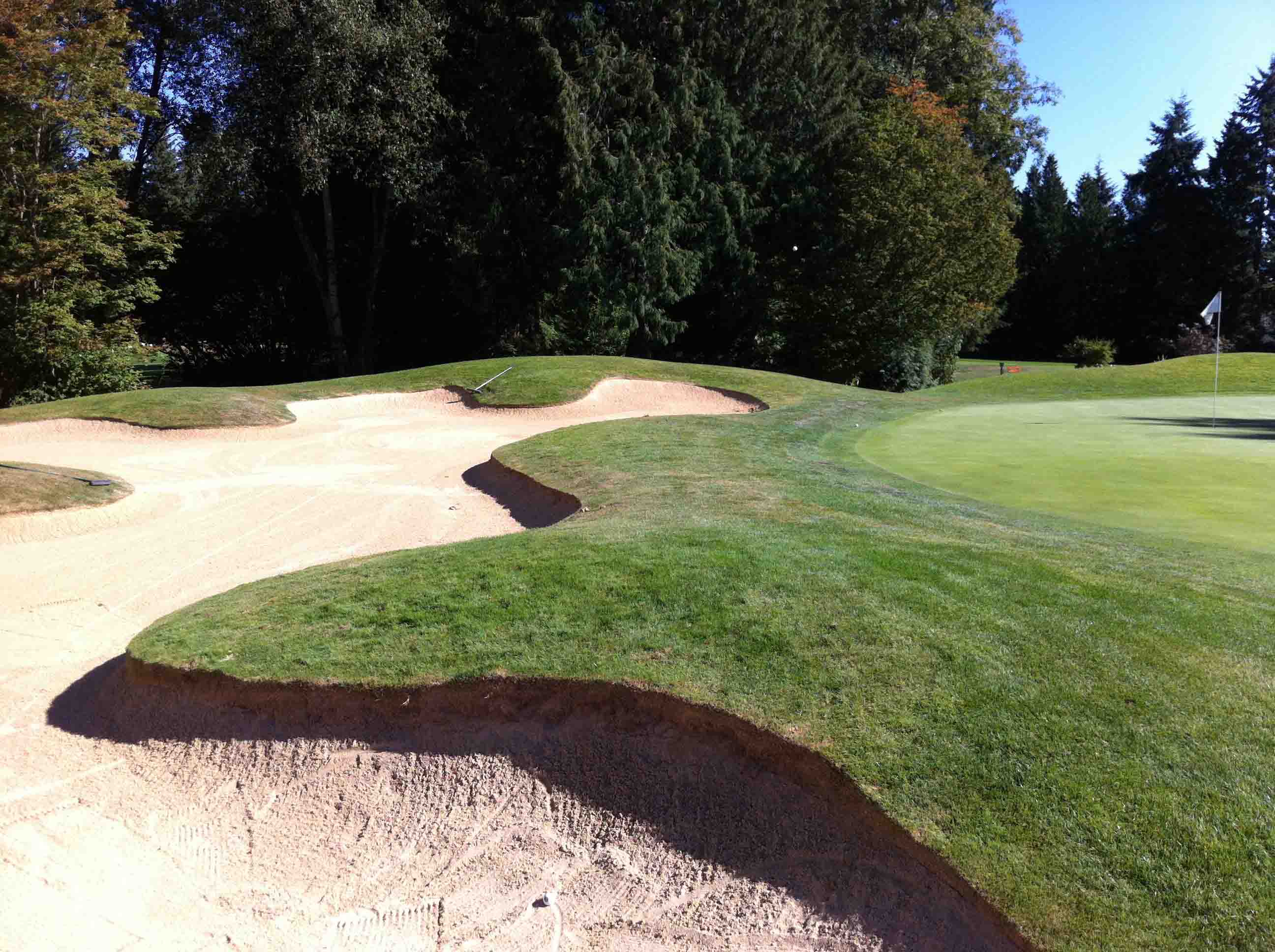 A Less Than Stellar Game of Golf at Shaughnessy