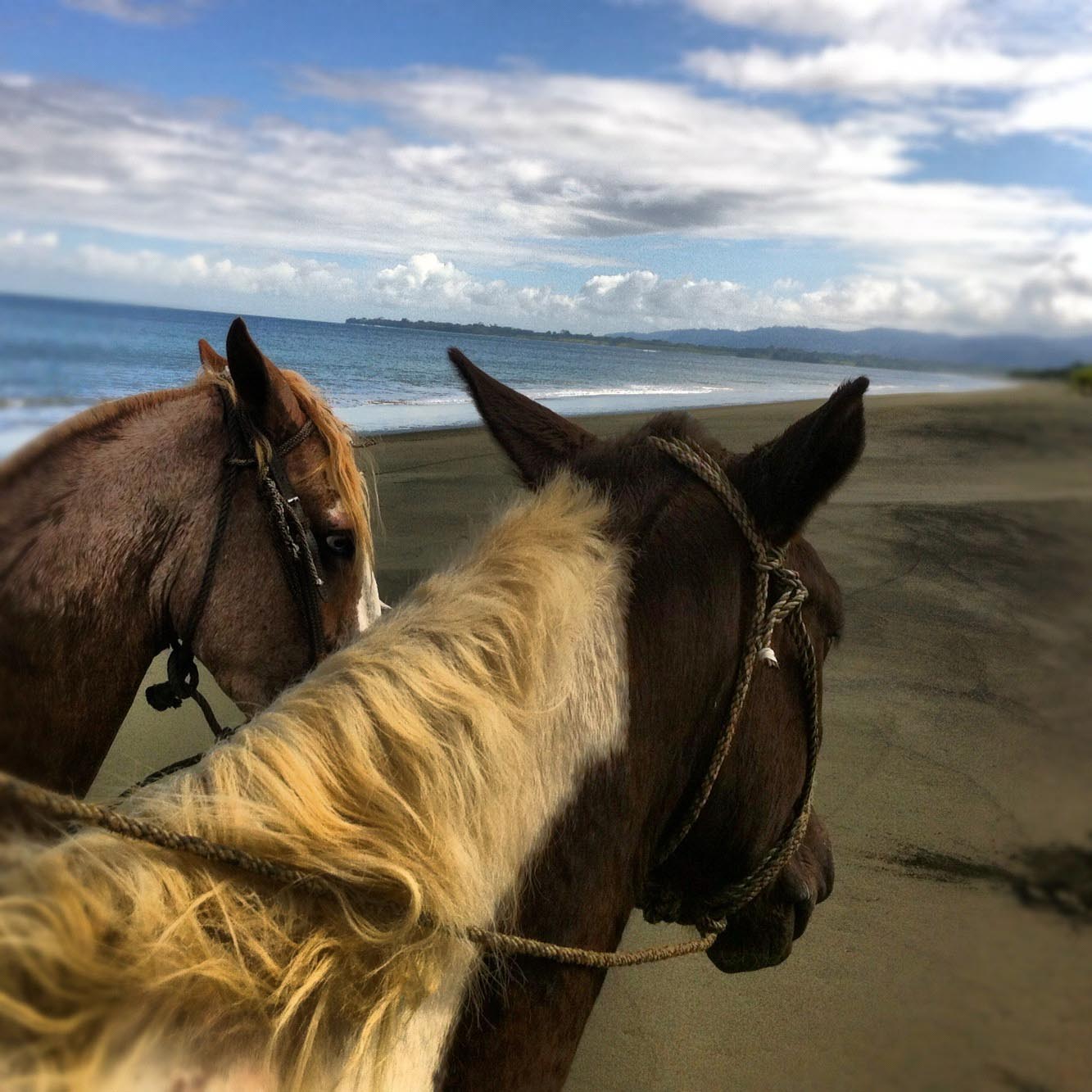 Horseback Riding on a Beach in Costa Rica