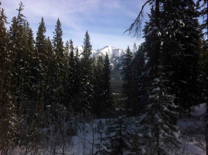 Cross Country Skiing in Canmore & Road Trip to Kicking Horse