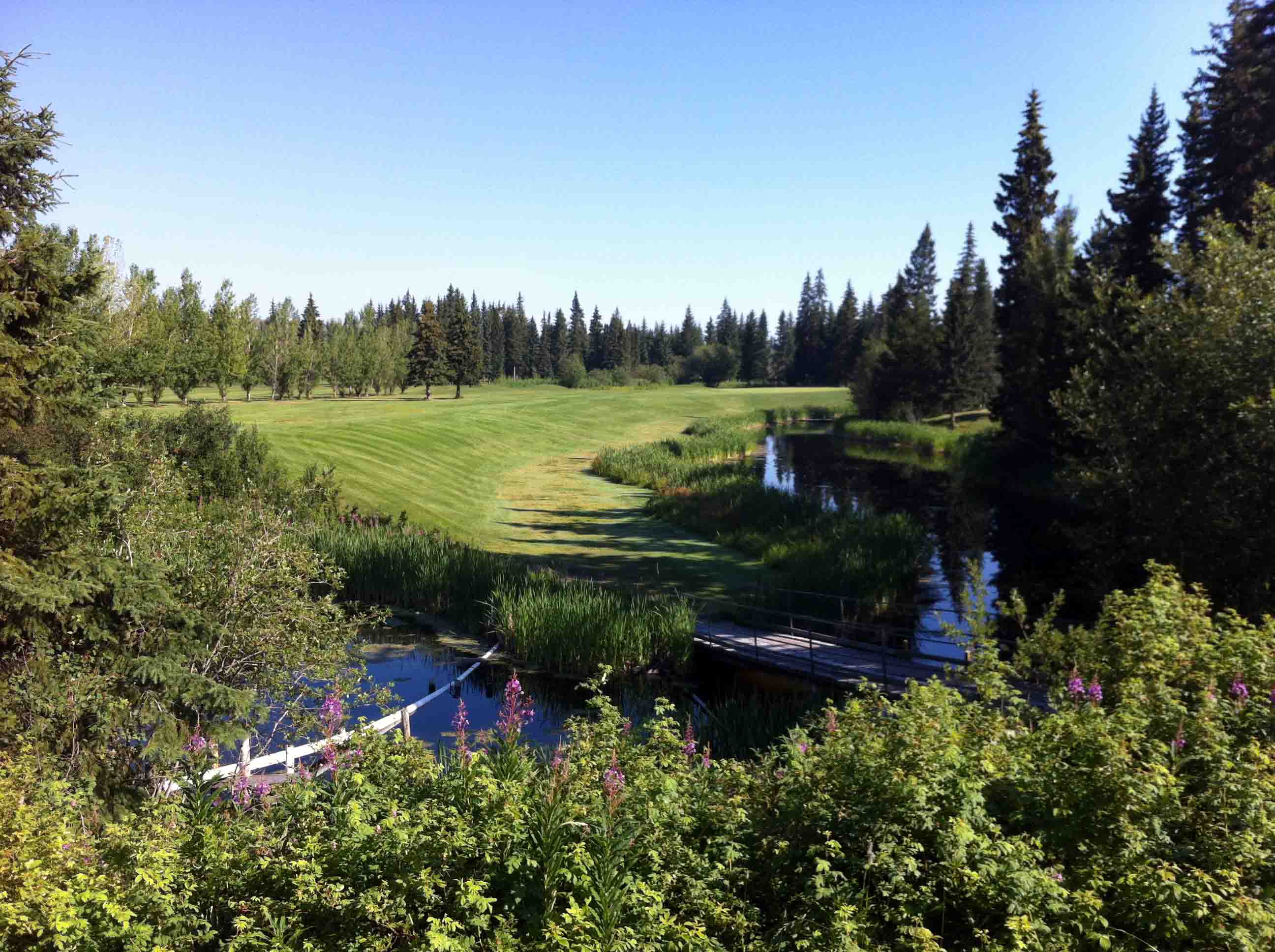 Solid Round at Aspen Grove Golf Course in Prince George, BC