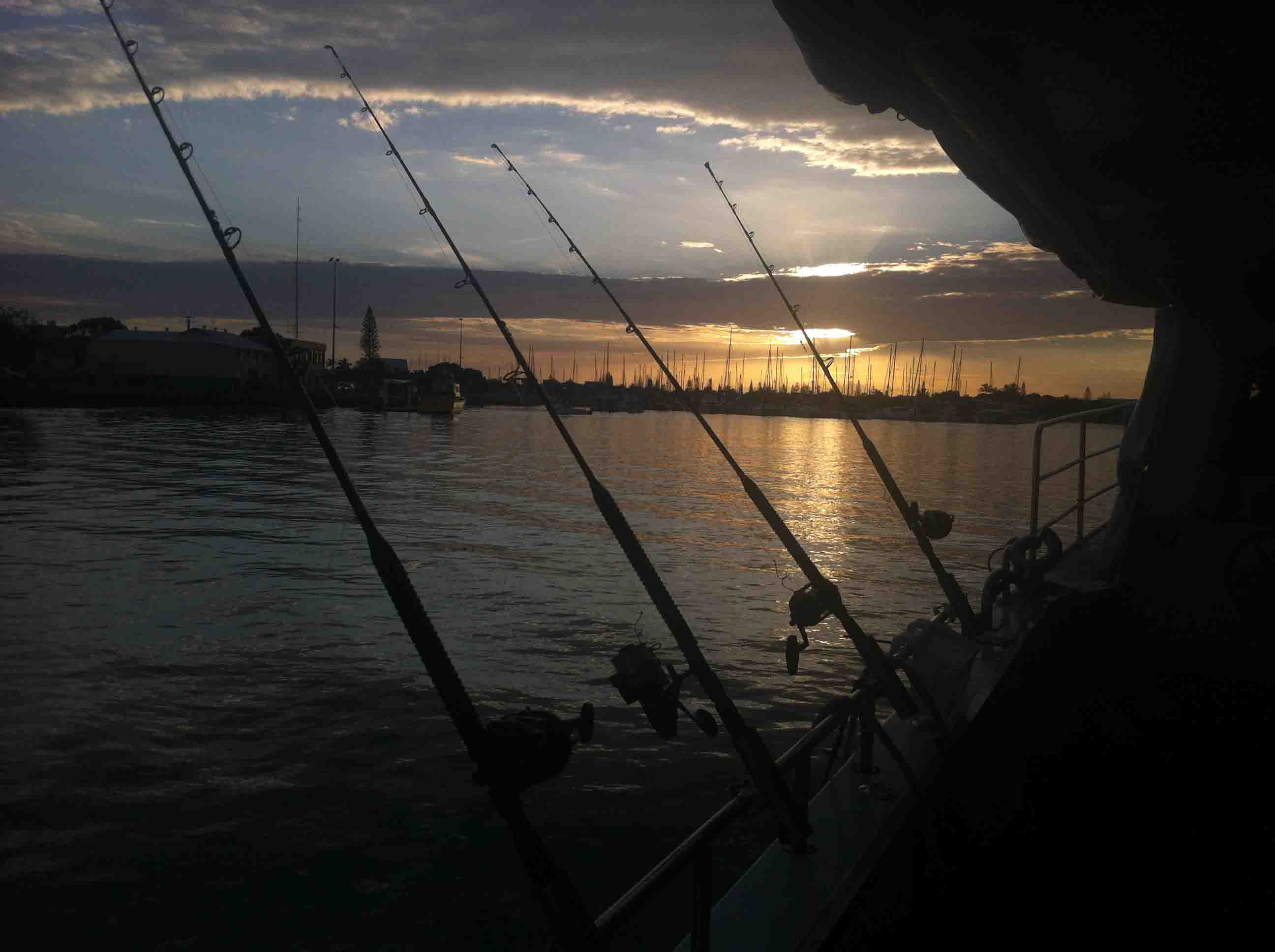 Deep Sea Fishing Off the Sunshine Coast of Australia