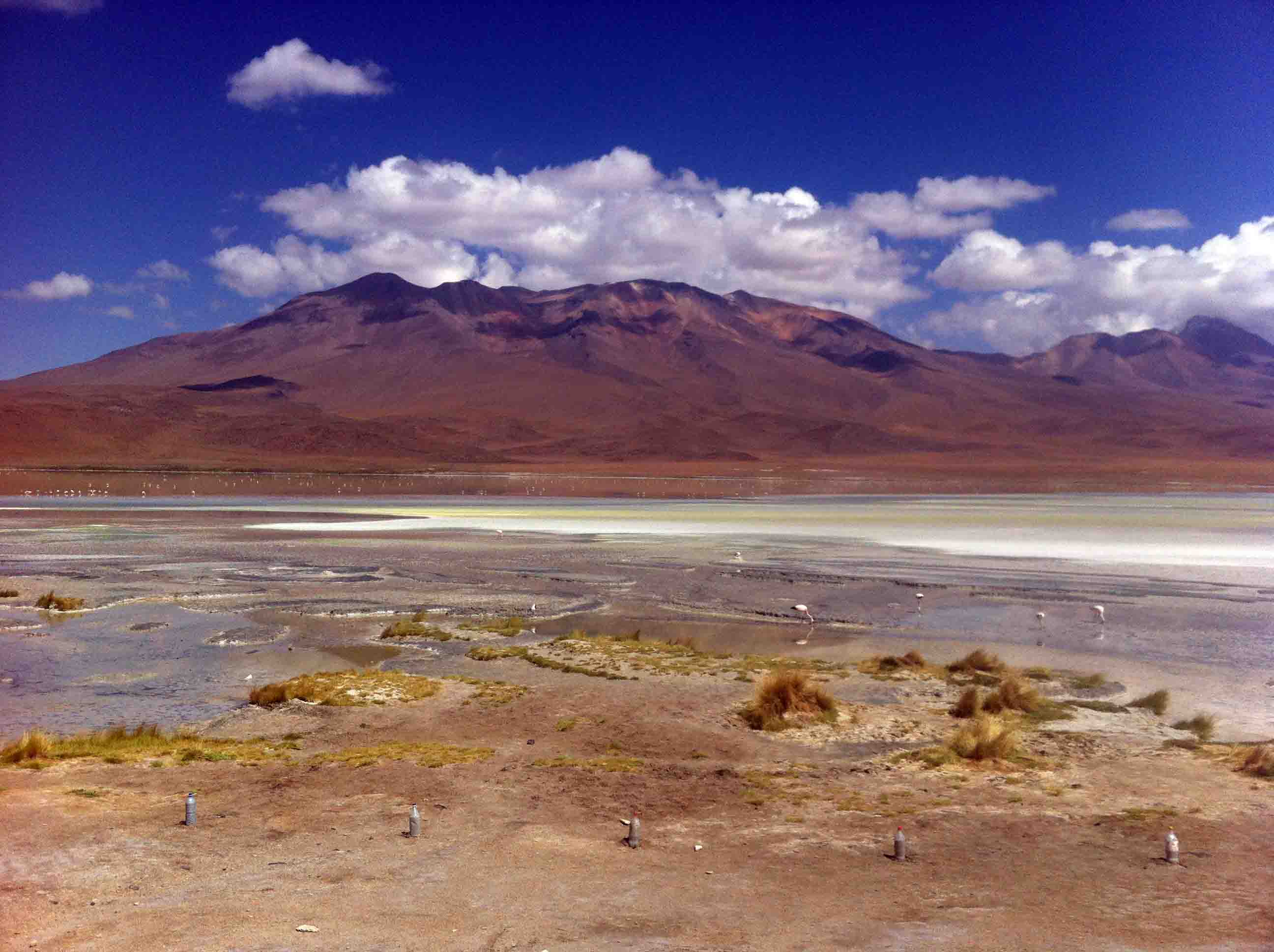 Day 2: Uyuni Salt Flats Tour – Lagoons, Mountains & NYE Party