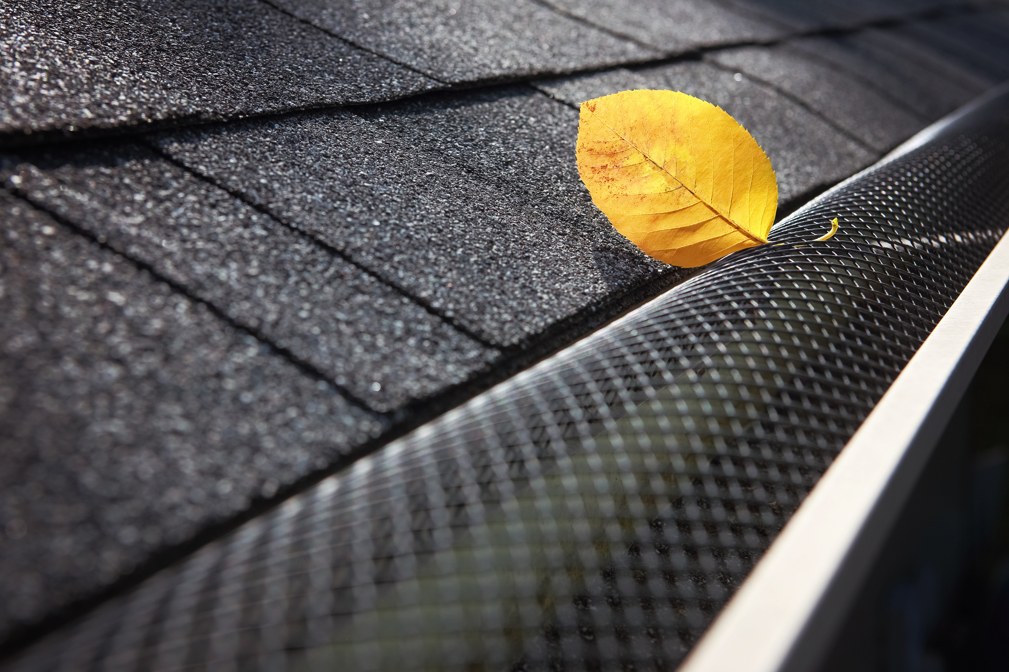 Is Installing Gutter Guards Worth the Investment?