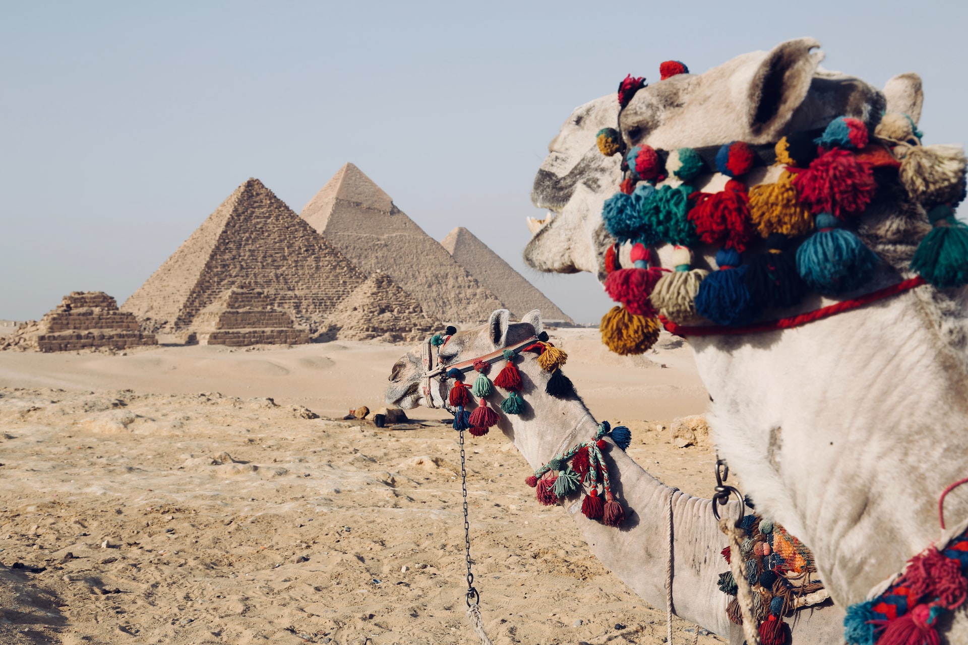 Egypt Tours: The Perfect Way to Experience Ancient Egyptian Culture