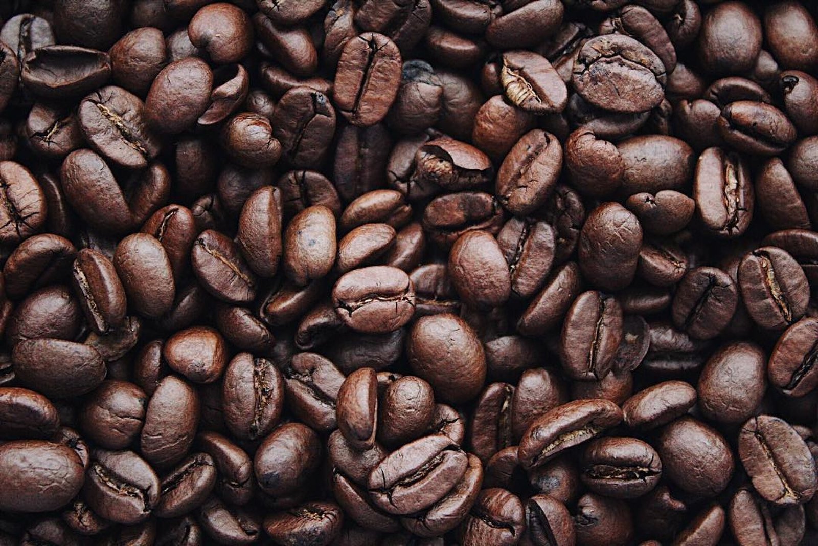 Common Myths That Surround Coffee