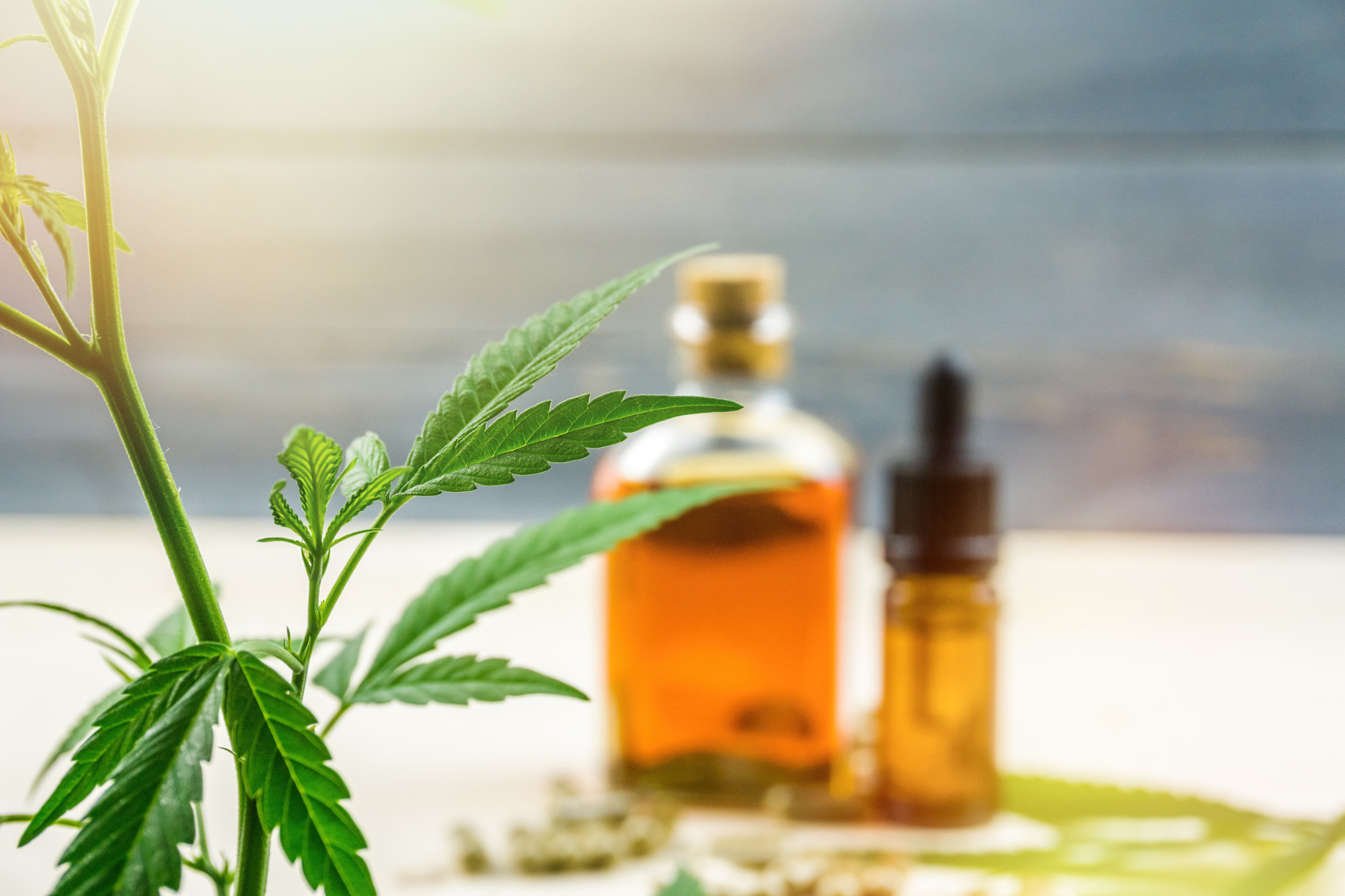 Cannabidiol Near Me: What Are the Benefits of CBD?