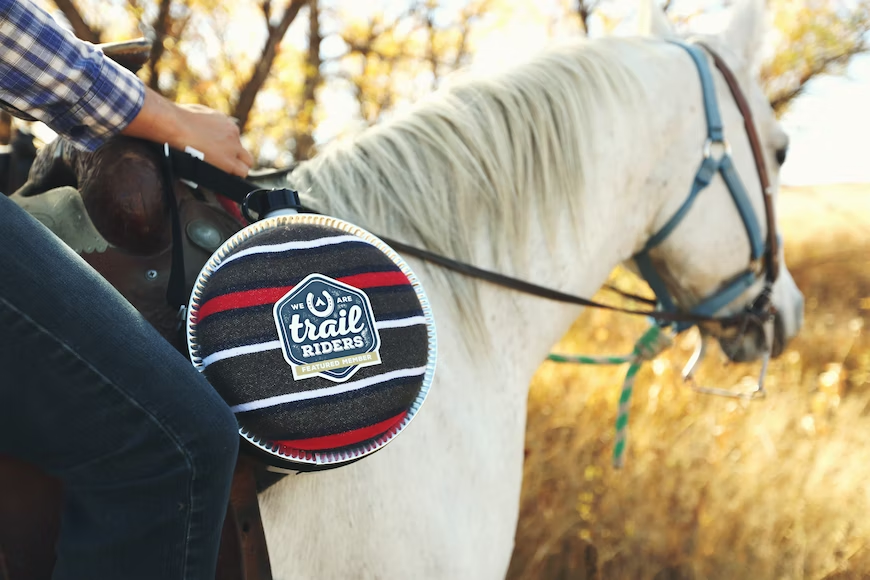 Amateur Horse Riders, Take Note: This Is What Your Companion Needs