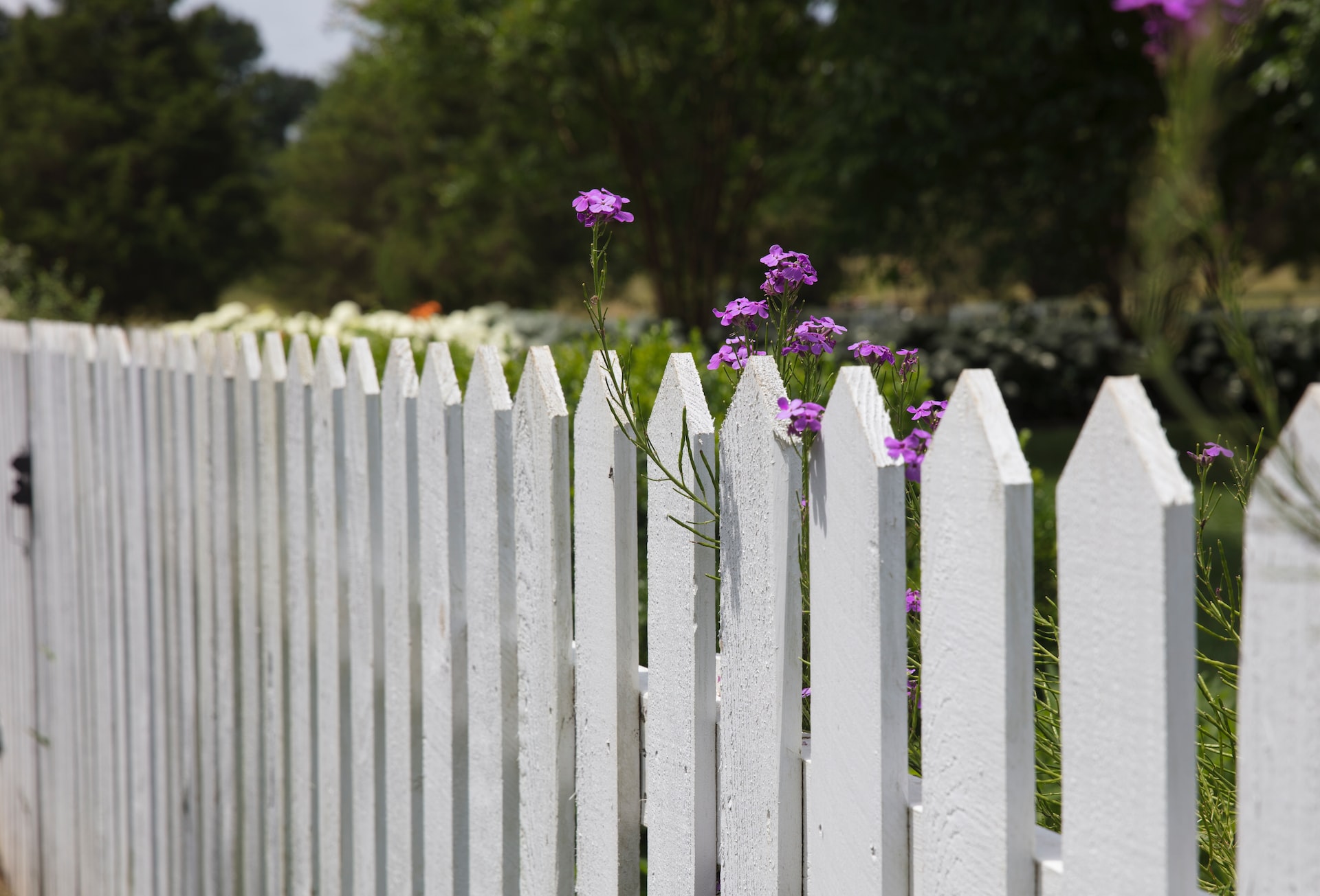 Neighbor Etiquette When a New Fence Is Being Installed