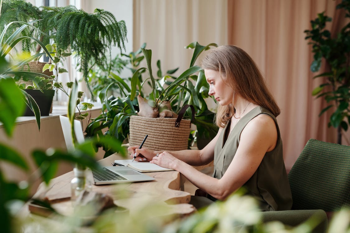 The Benefits Of Indoor Plants On Health And Productivity