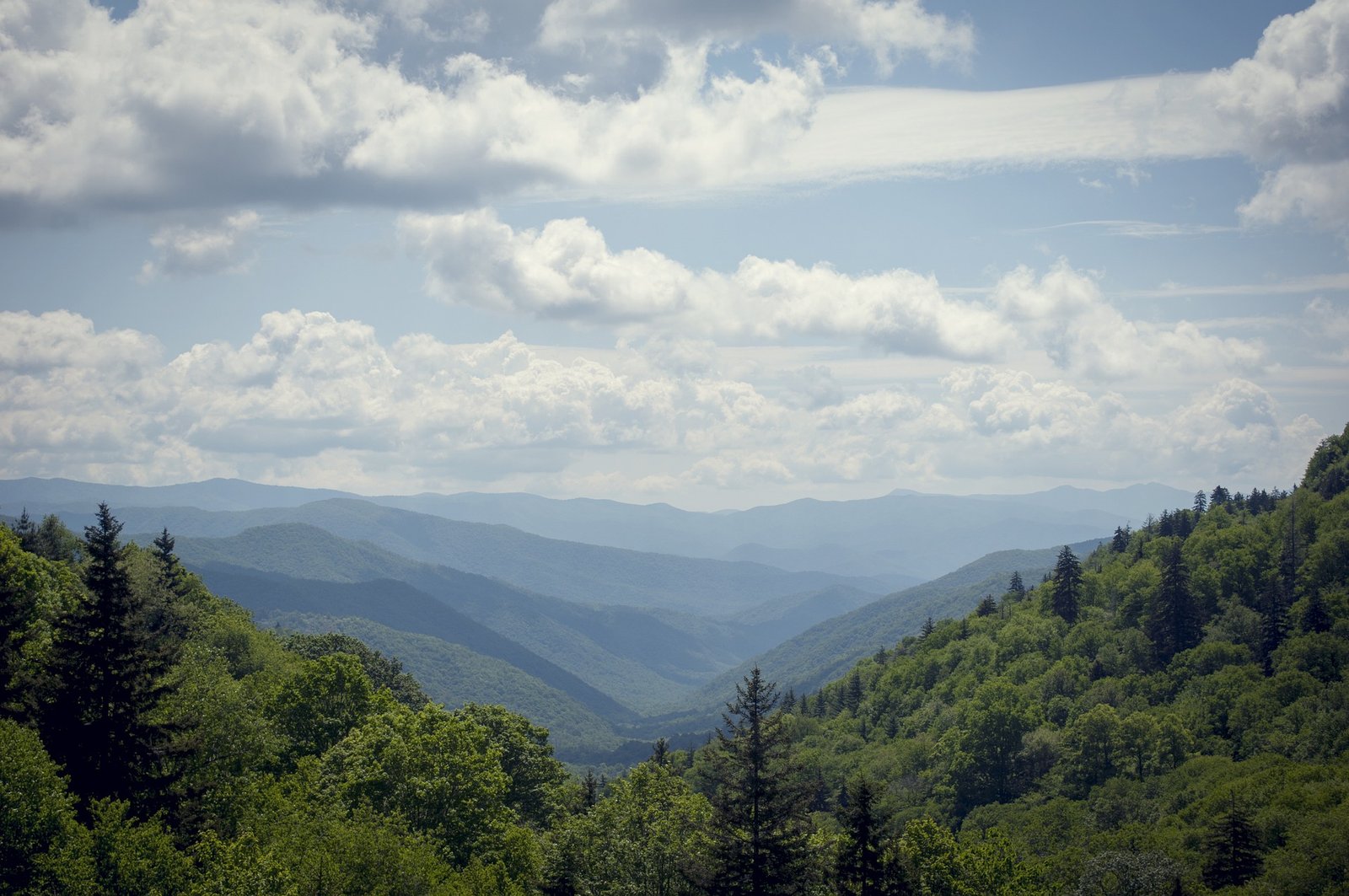 11 Reasons to Book Your Next Trip to Gatlinburg