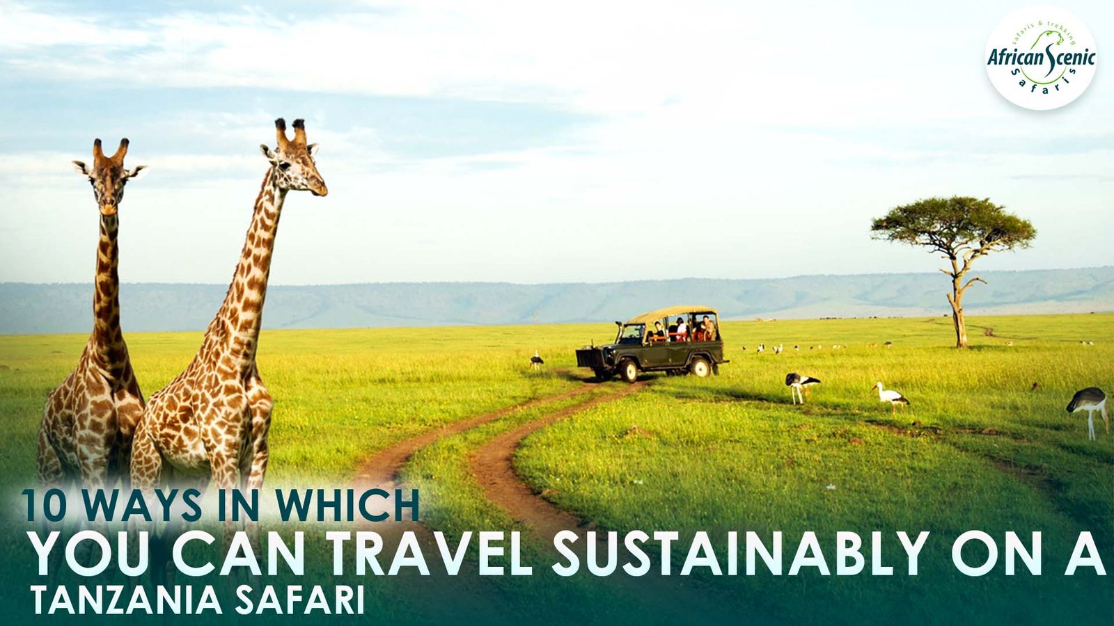 10 Ways In Which You Can Travel Sustainably On A Tanzania Safari