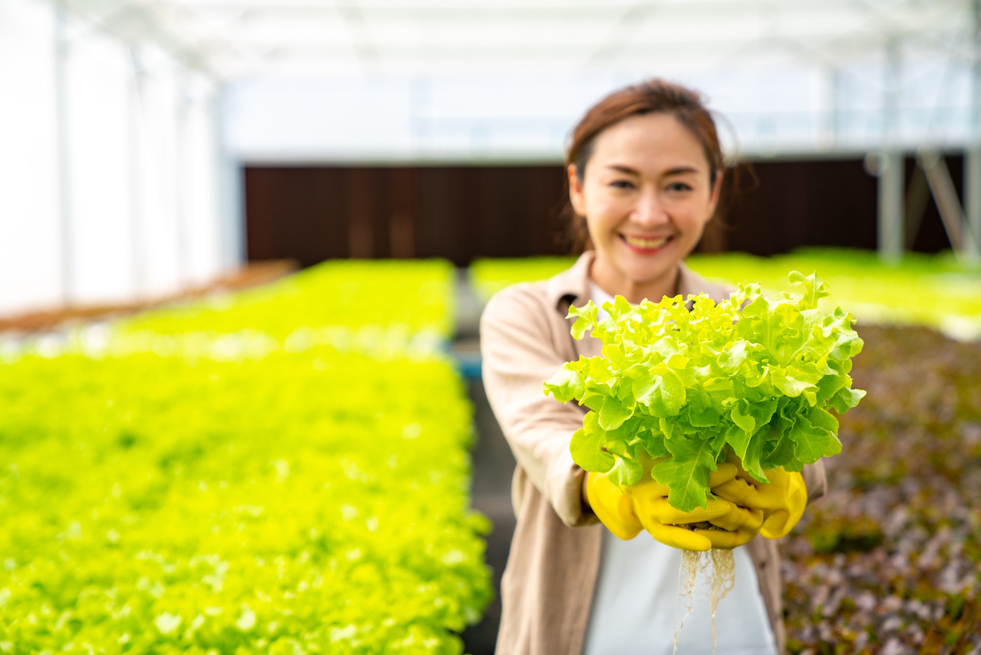 The Role of Local Farmers’ Markets in Sustainable Living