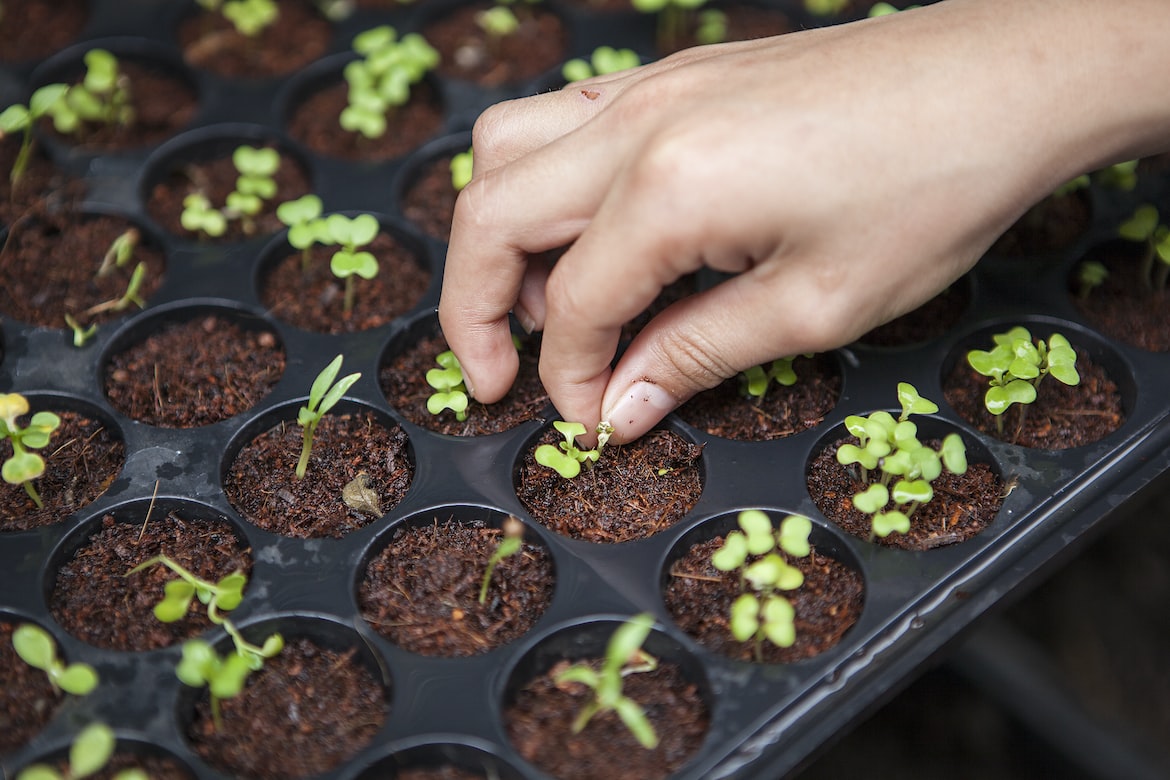 If You Take Farming Seriously You’ll Want To Follow These Tips