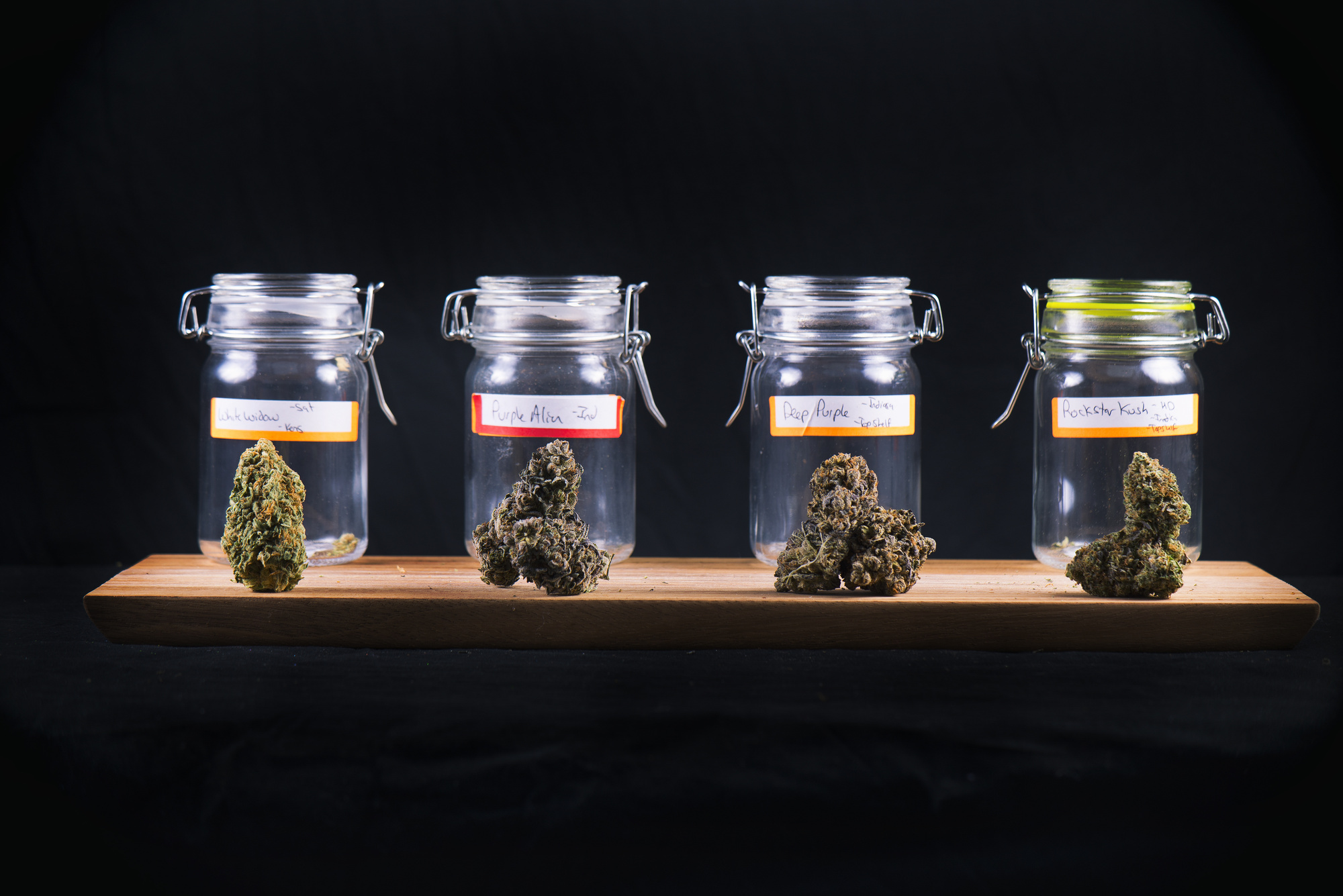 What Are the Strongest Strains of Weed?