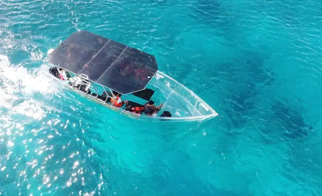 Exploring the Natural Wonders of Cabo San Lucas: A Must-See Destination for Nature Enthusiasts